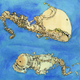 Illustration for article titled Cybernetic Sea Monsters and Flying Houses in Ink and Watercolors